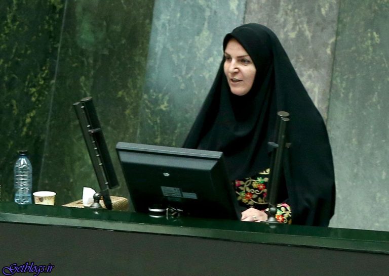 دریافت مالیات از سکه پیاده کردن اقتصاد غارتگری است/ سونامی بیکاری تا آخر مهرماه ایجاد می شود ، نماینده مجلس